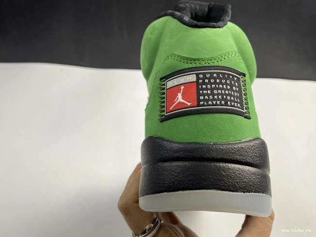 Chep Onekick Jordan Air Ducks Oregon SE 5 CK6631-307 0731